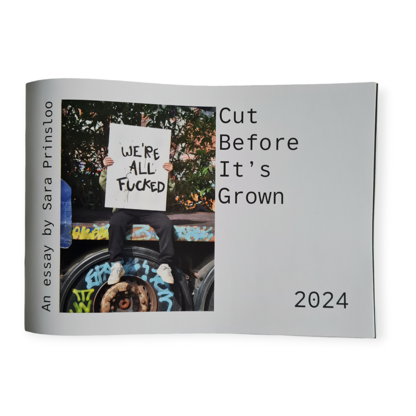 Essay Book Cut Before Its Grown Sara Prinsloo