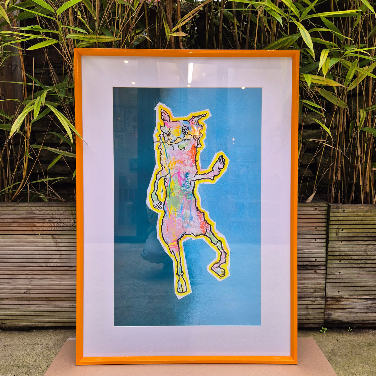 Fox