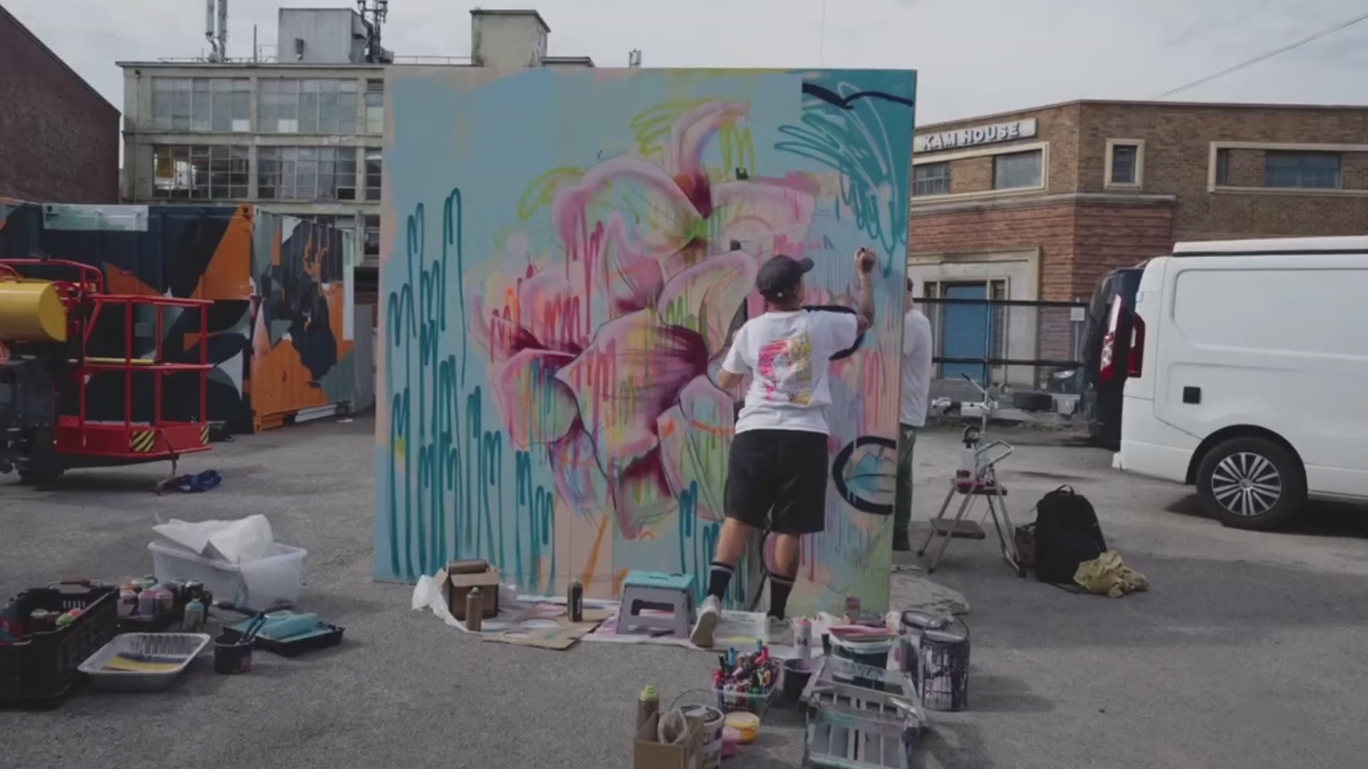 Load video: Artists Sara Prinsloo painting murals in Sheffield. Action shots showing painting  by artist. 