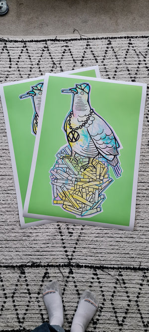 Chav Pigeon