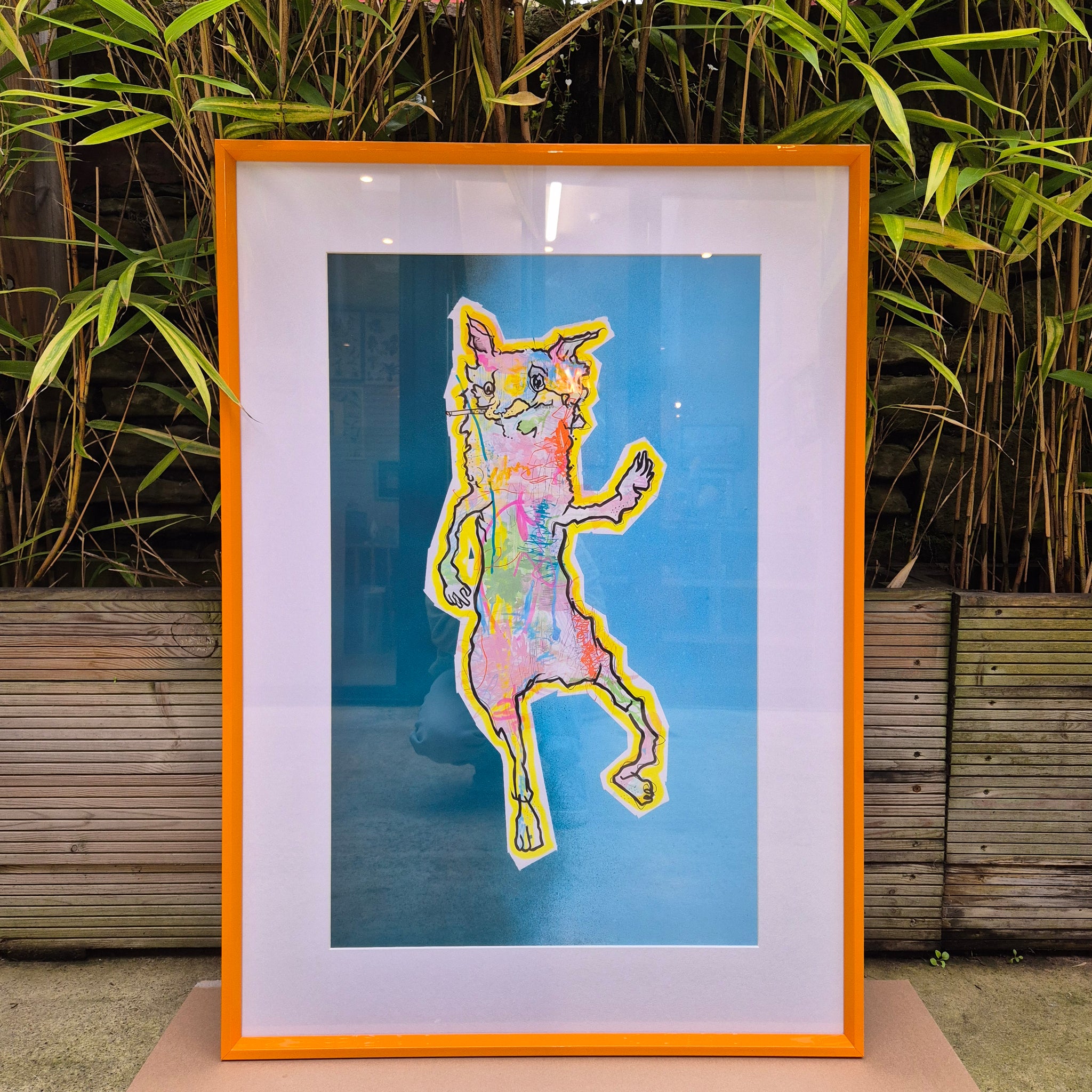 Fox